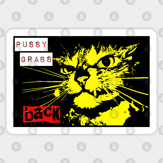 Pussy Grabs Back Sticker by Tainted